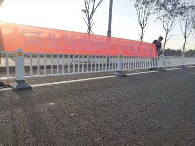 護(hù)欄網(wǎng) 護(hù)欄網(wǎng)